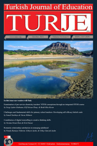 Turkish Journal of Education