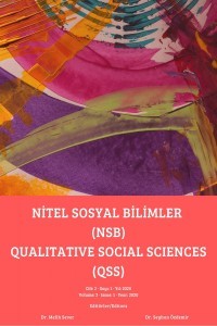 Qualitative Social Sciences
